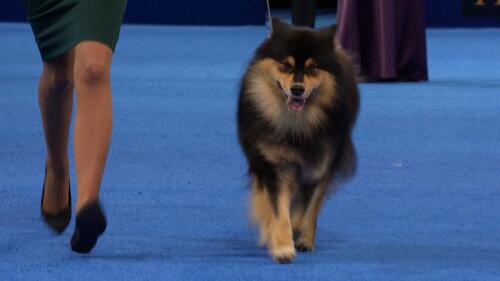 为什么选择我们